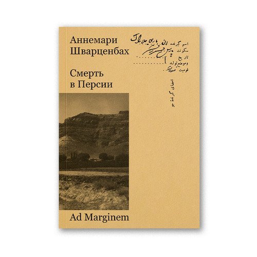 Аннемари Шварценбах. Смерть в Персии